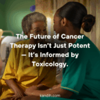 Tislelizumab Plus Chemotherapy: What Toxicology Teaches Us About Smarter Cancer Therapy Design
