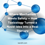 Lynkuet (Elinzanetant): What Toxicology and Product Development Teach Us About Safe Innovation