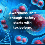Breast Cancer & Toxicology: Why Exposures Matter as Much as Genetics