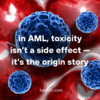 Acute Myeloid Leukemia: What Toxicology and Product Development Can Learn from the Frontlines of Blood Cancer